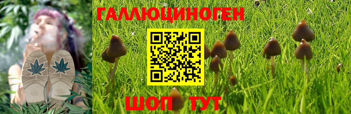 Миллерово  Псилоцибиновые грибы Magic Shrooms  Вход с VPN 