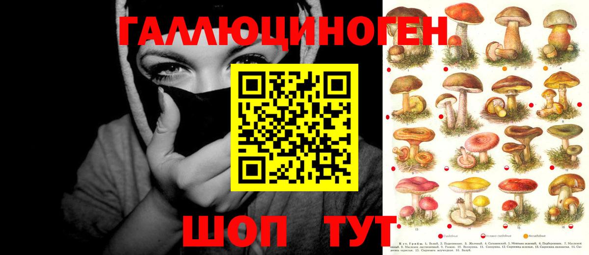 Галлюциногенные грибы мухоморы Миллерово