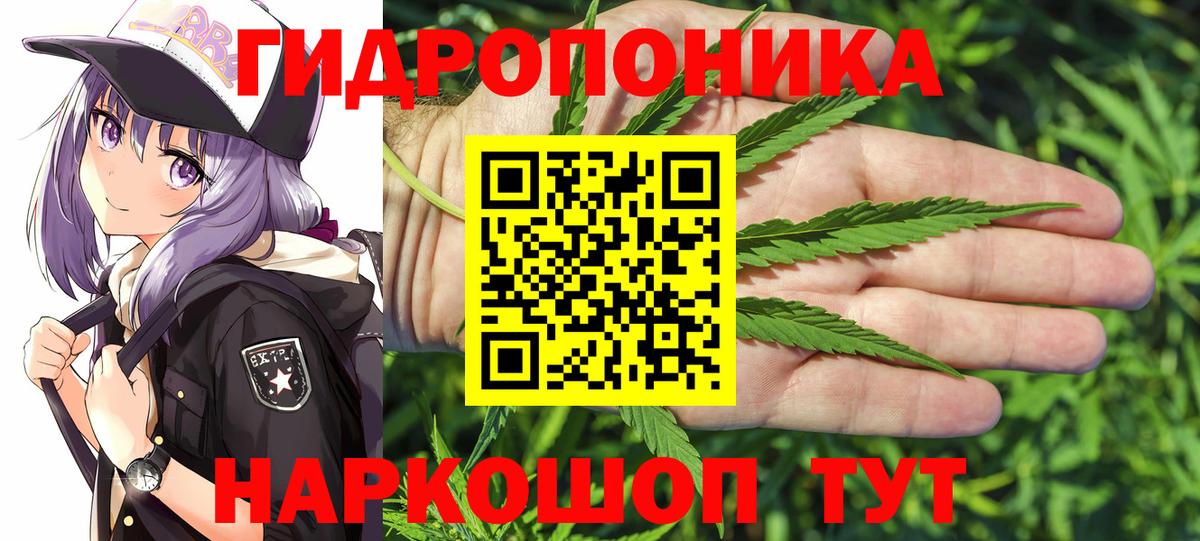 Конопля гибрид  Бошки Шишки сатива  Каннабис MAZAR  Вход с VPN  Миллерово  МАРИХУАНА OG Kush 